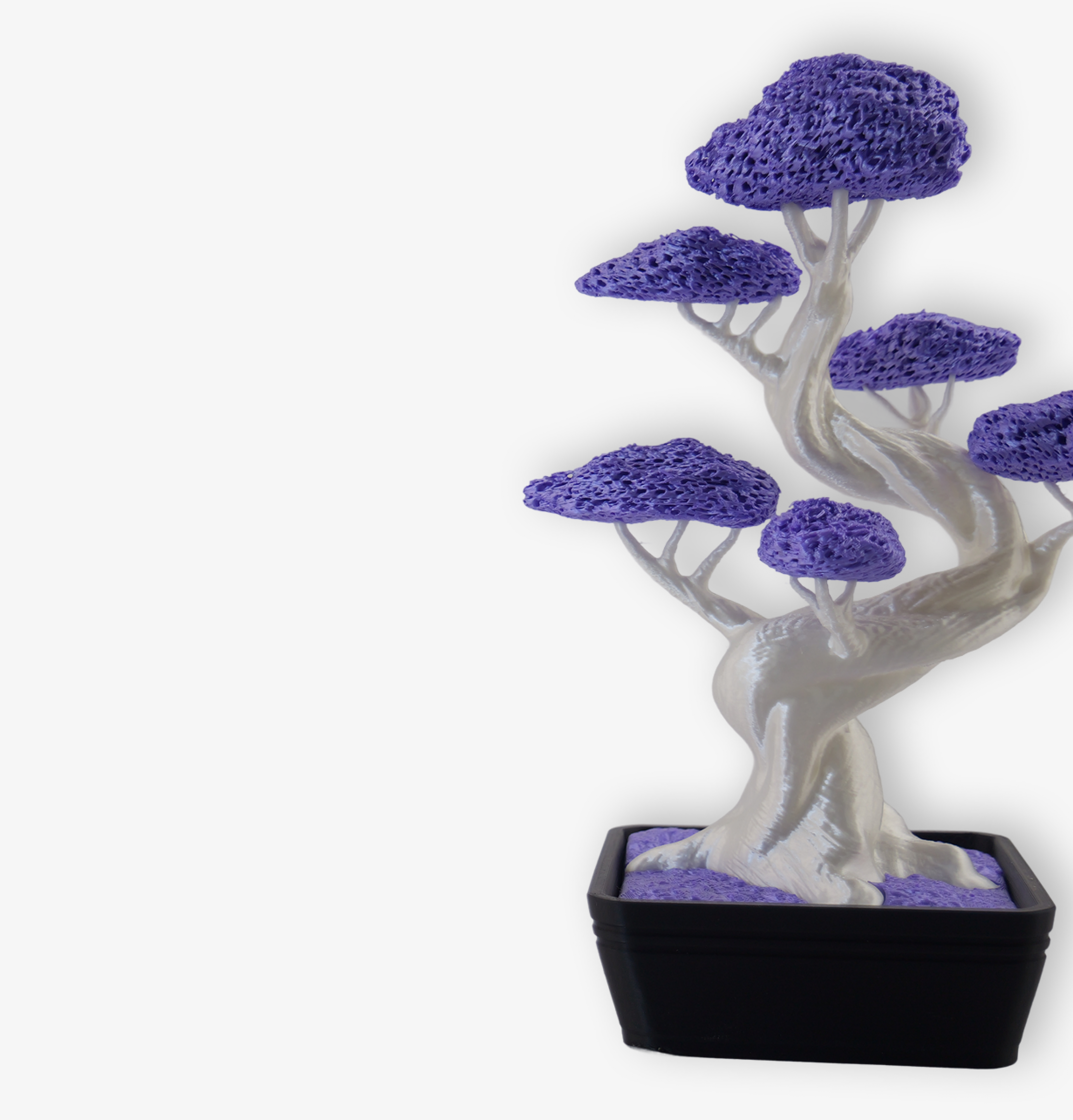 Bonsai 3D