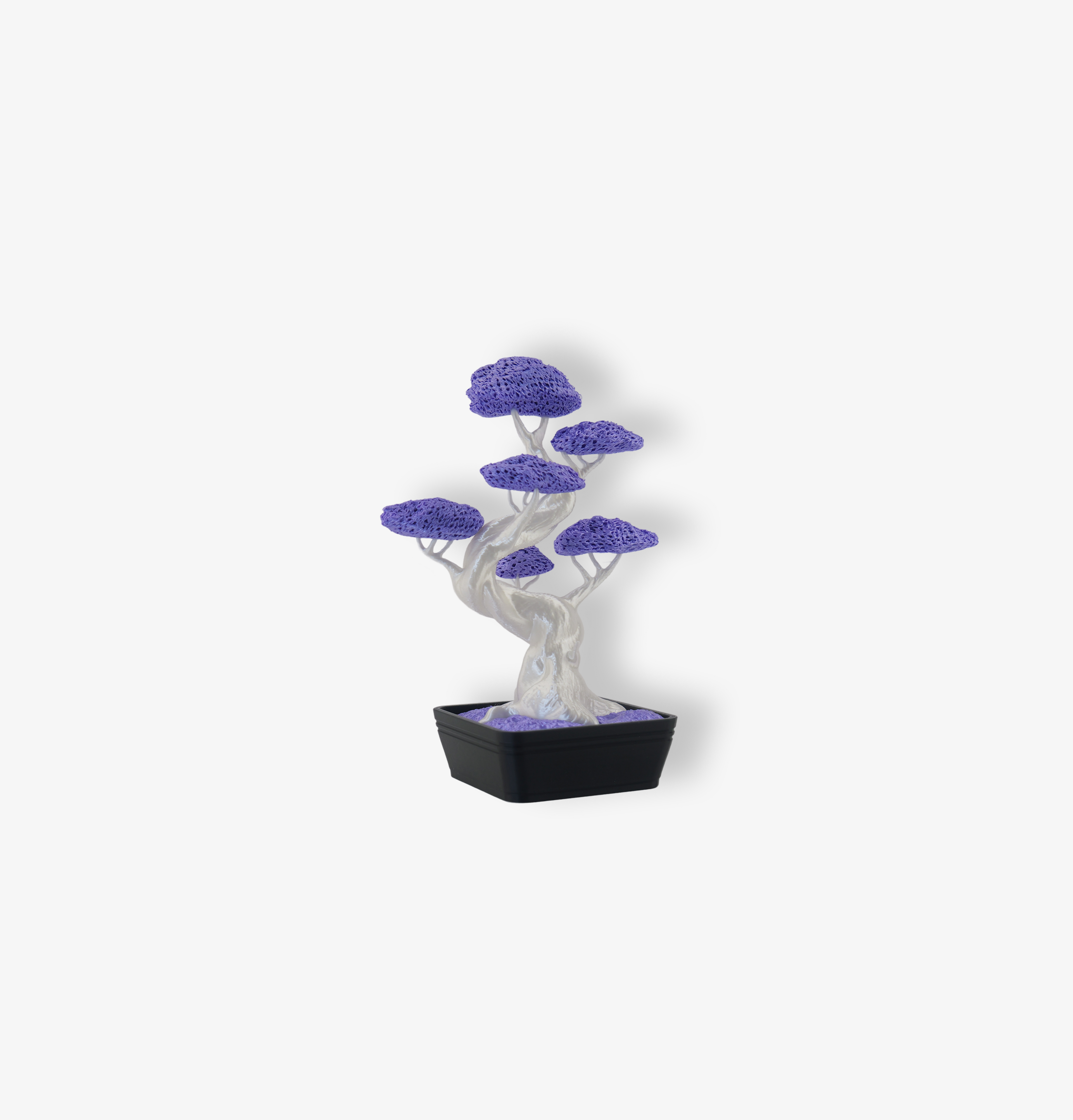 Bonsai 3D