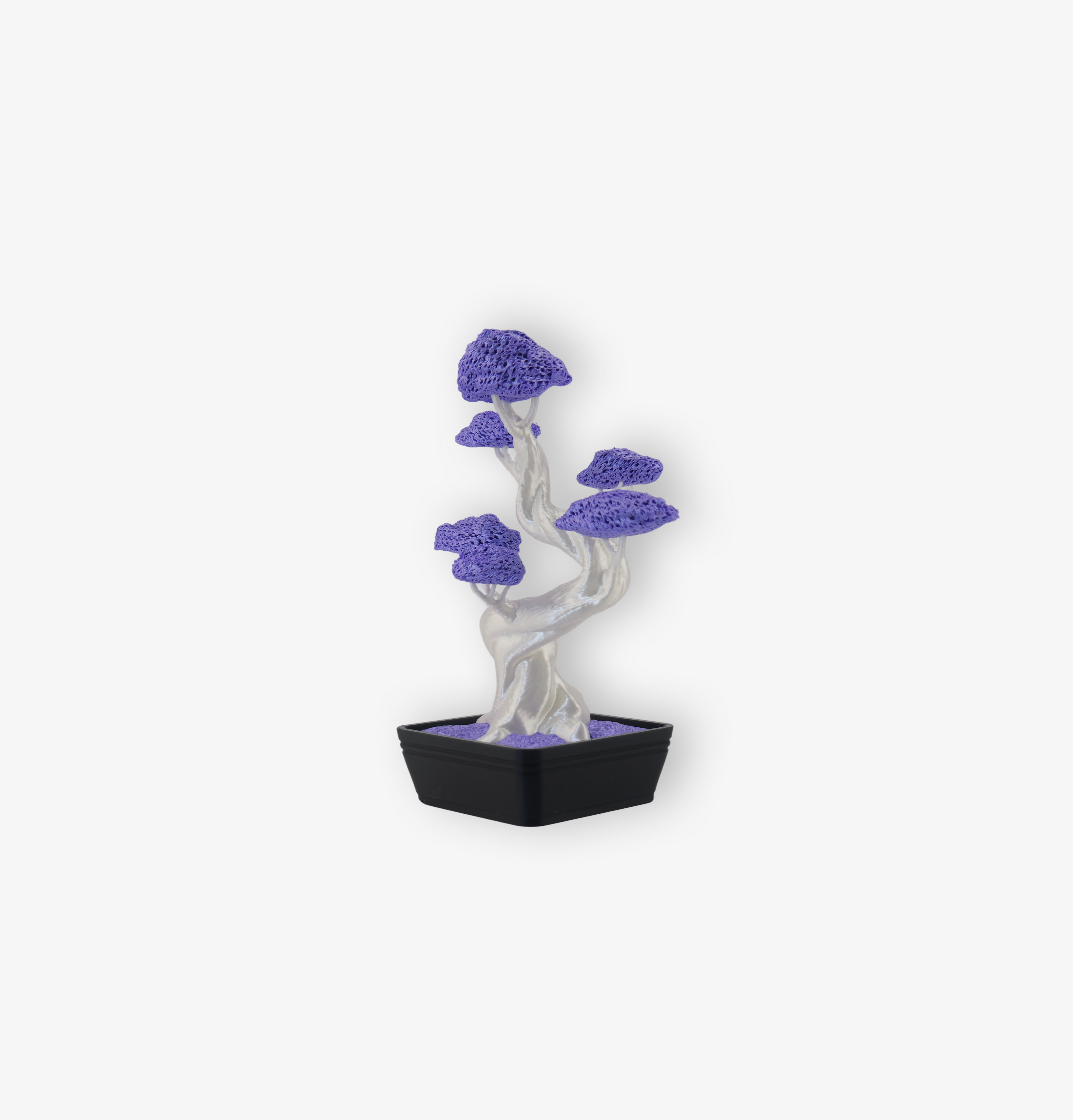 Bonsai 3D